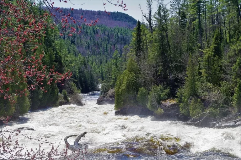 La rivière Dumoine